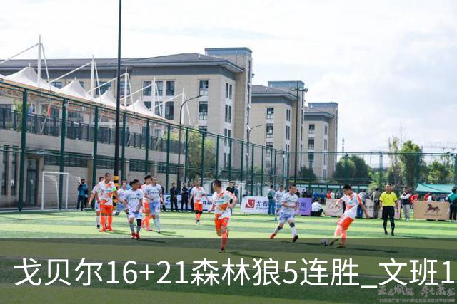 戈贝尔16+21森林狼5连胜 文班12+10马刺15连败